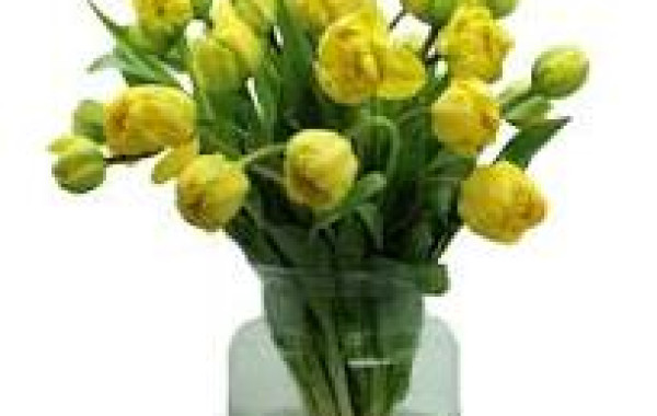 Dinsdag 15 april 2025